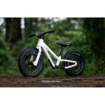 Kids Ride Shotgun Dirt Hero 12"