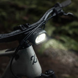 Amflow PR Carbon Pro eMTB