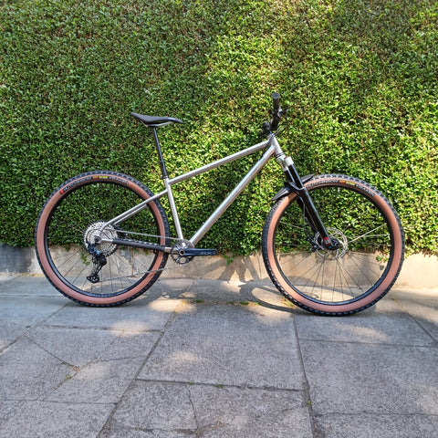 hardtail pedale Pedals Downshift Titanium Downcountry Hardtail